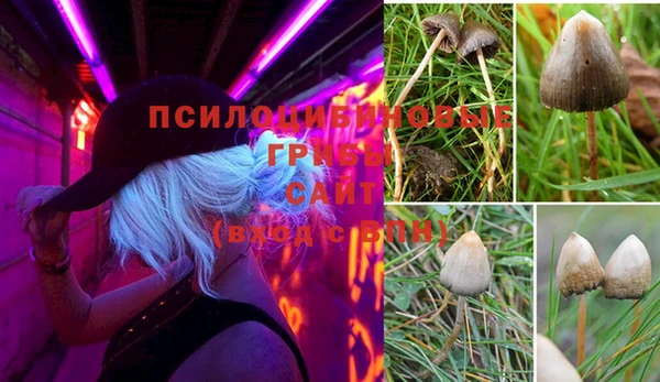 соль ск Алексин