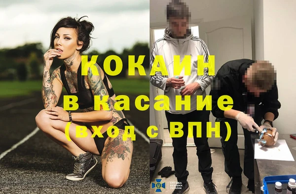 соль ск Алексин
